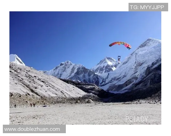 运动数据南京极限运动队战术转型解析与未来发展展望